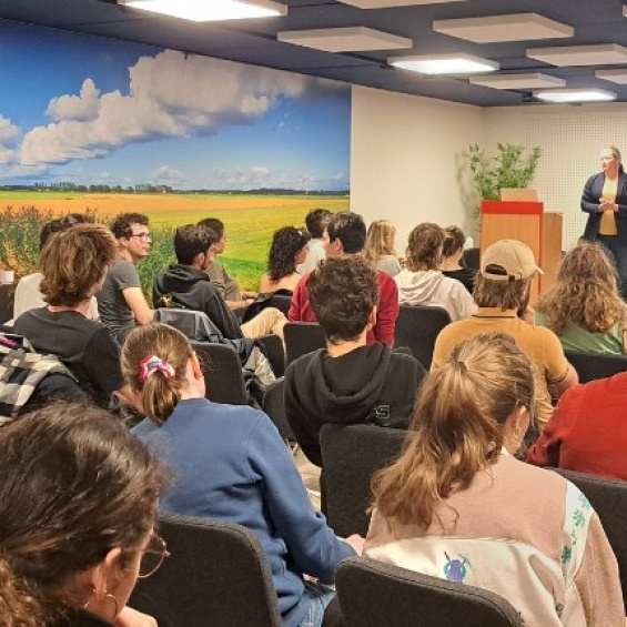 City, Environment, Transportation