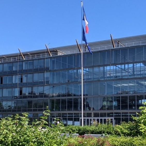 Développement de capacités