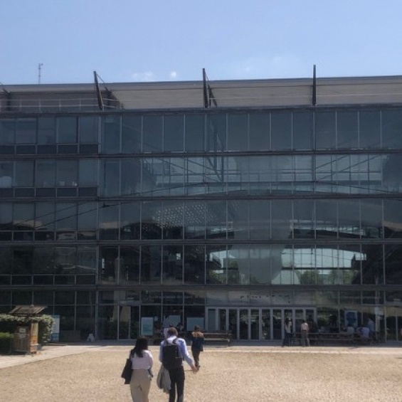 La formation doctorale