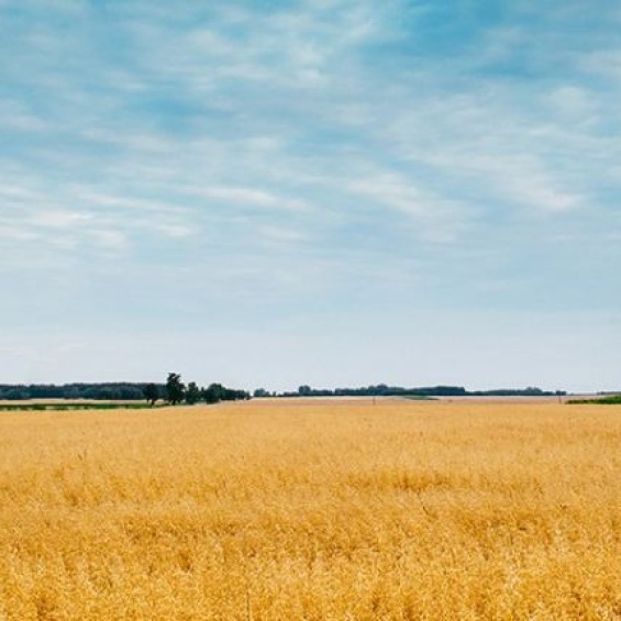 Politiques et actions publiques pour le développement durable