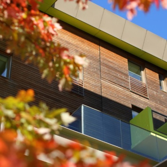 MSc Sustainable impact analysis (SIA)