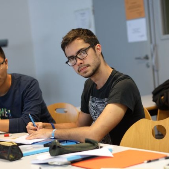 Transport, Mobility, Networks program