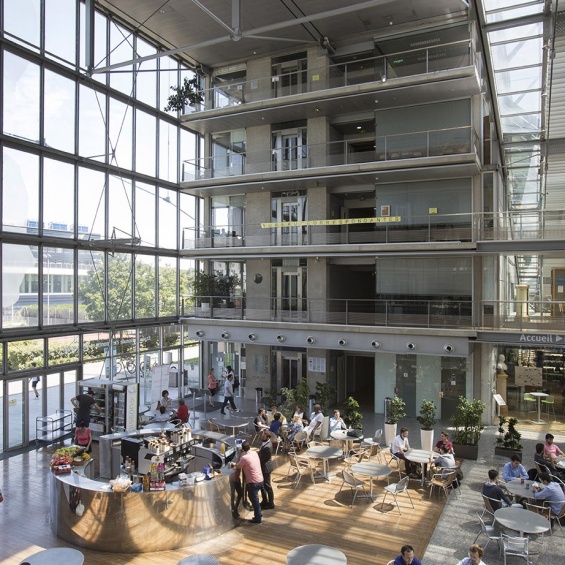 Insertion professionnelle