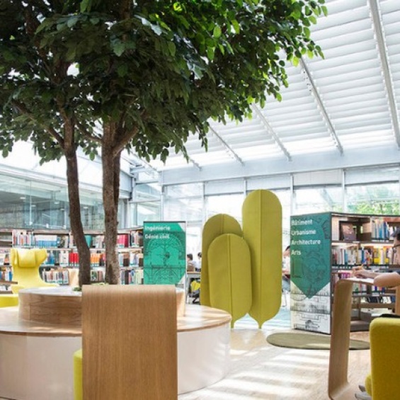 Economics, Management, Finance