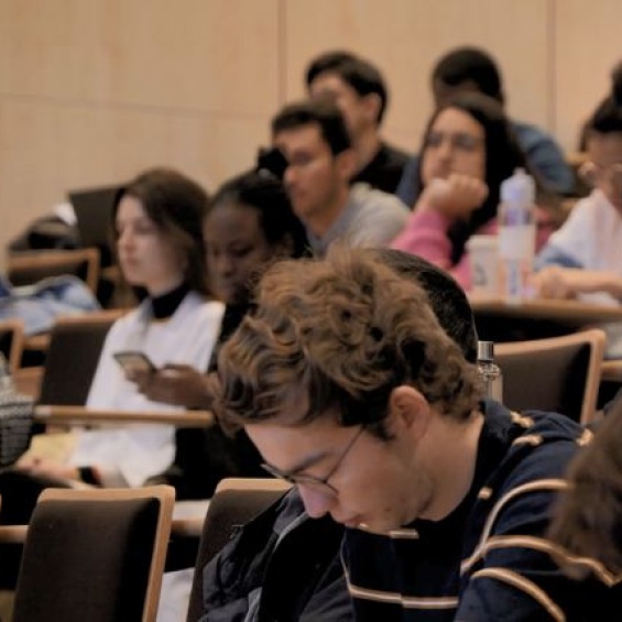 Formations diplômantes
