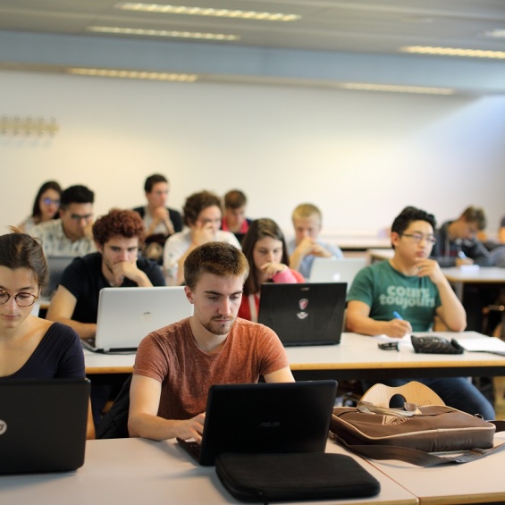 Environmental, Energy, and Transportation Economics program